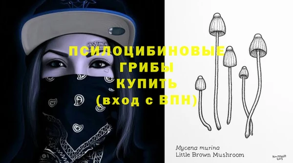 PSILOCYBIN Абаза