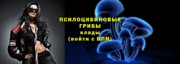PSILOCYBIN Абаза