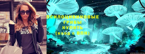PSILOCYBIN Абаза
