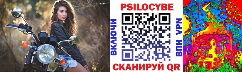 даркнет Telegram  Прохладный  Псилоцибиновые грибы Psilocybe  кракен зеркало 